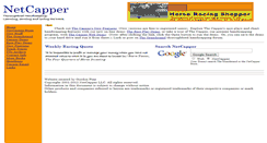 Desktop Screenshot of netcapper.com